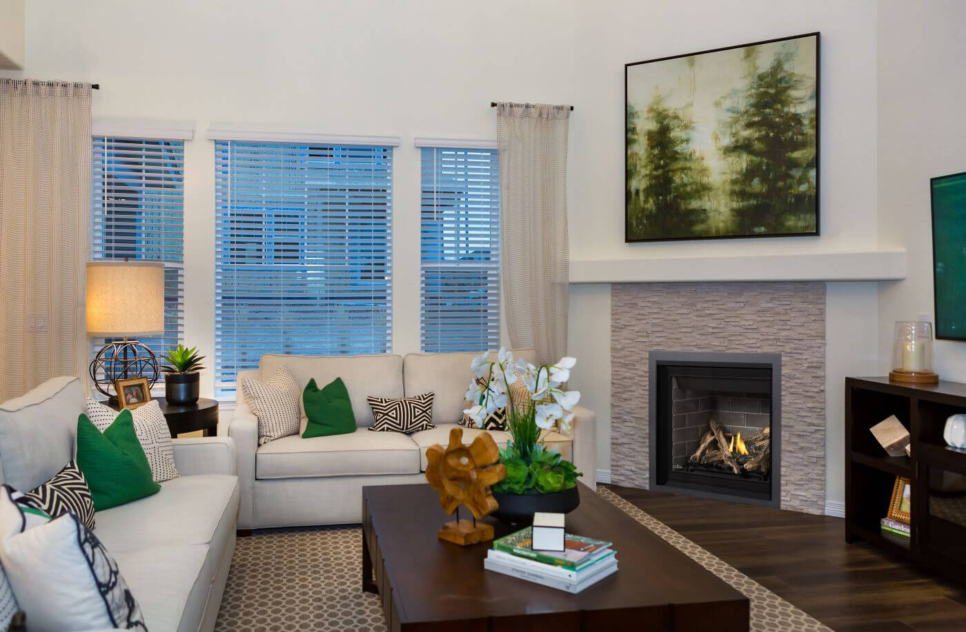 Napoleon Altitude™ Series 36" Direct Vent Gas Fireplace A36