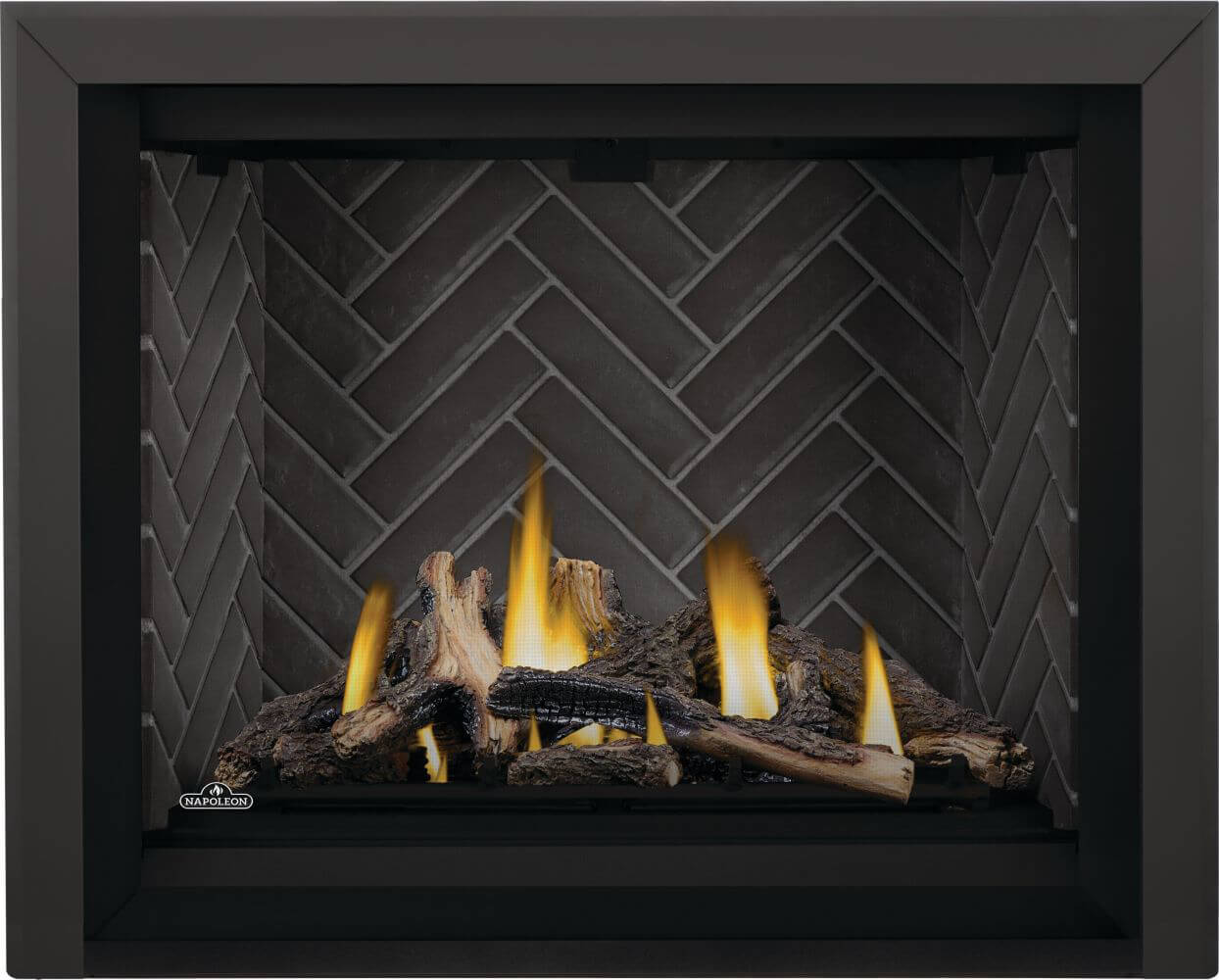 Napoleon Altitude™ X 42 Direct Vent Gas Fireplace AX42