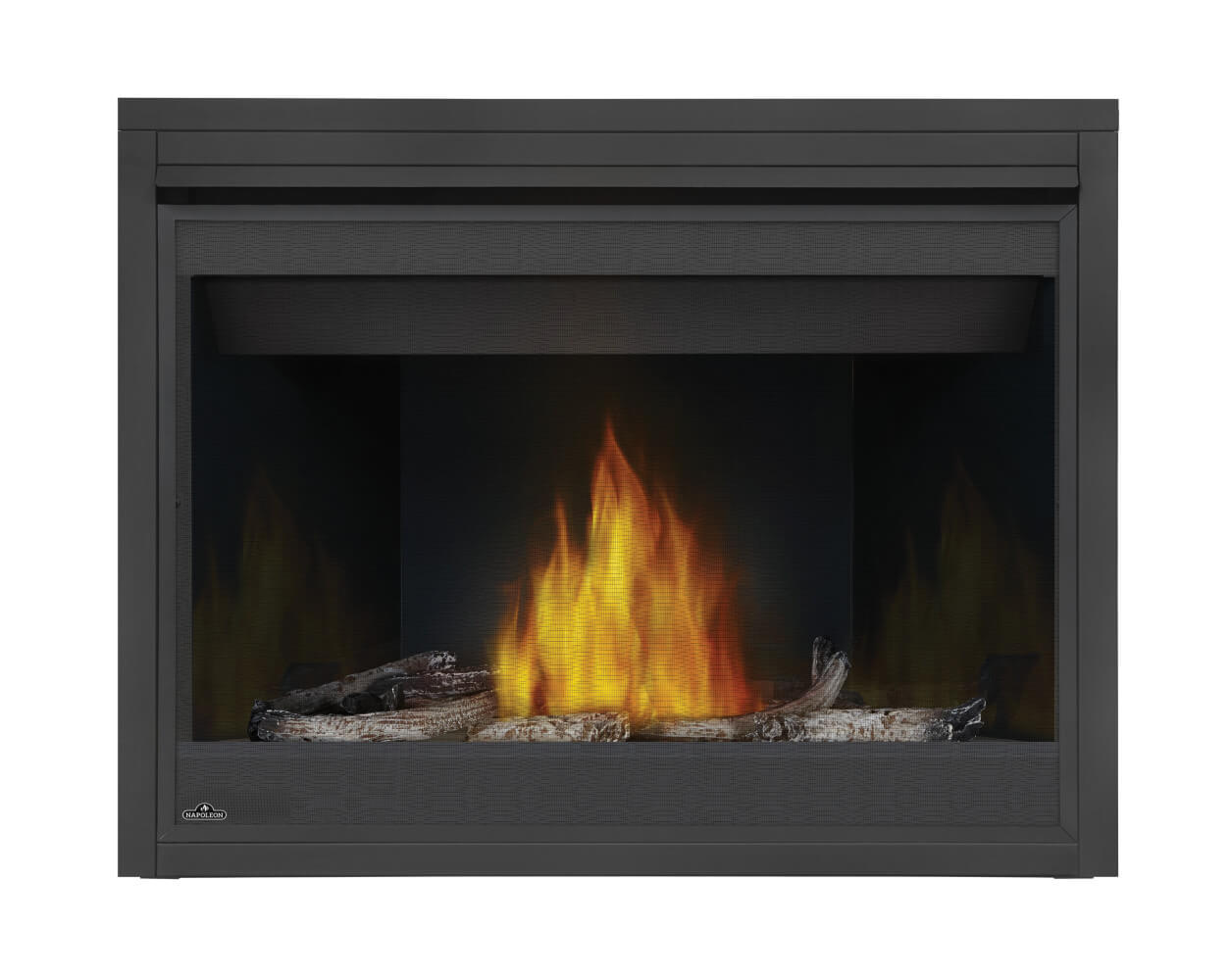Napoleon Ascent™ 46 Direct Vent Gas Millivolt Fireplace B46