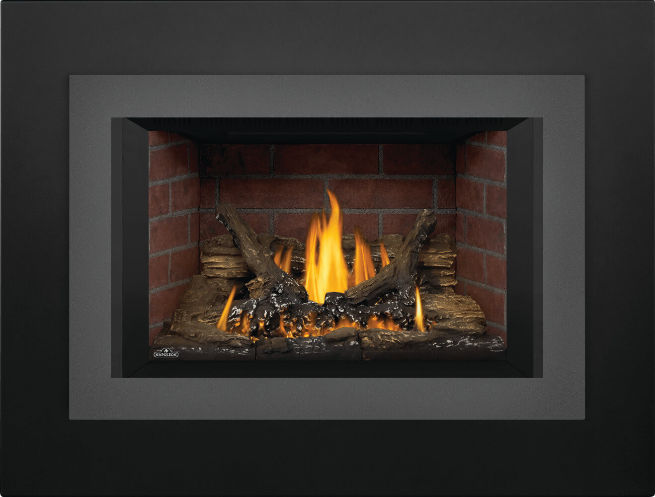 Napoleon Oakville™ 3 Gas Fireplace Insert GDI3NE