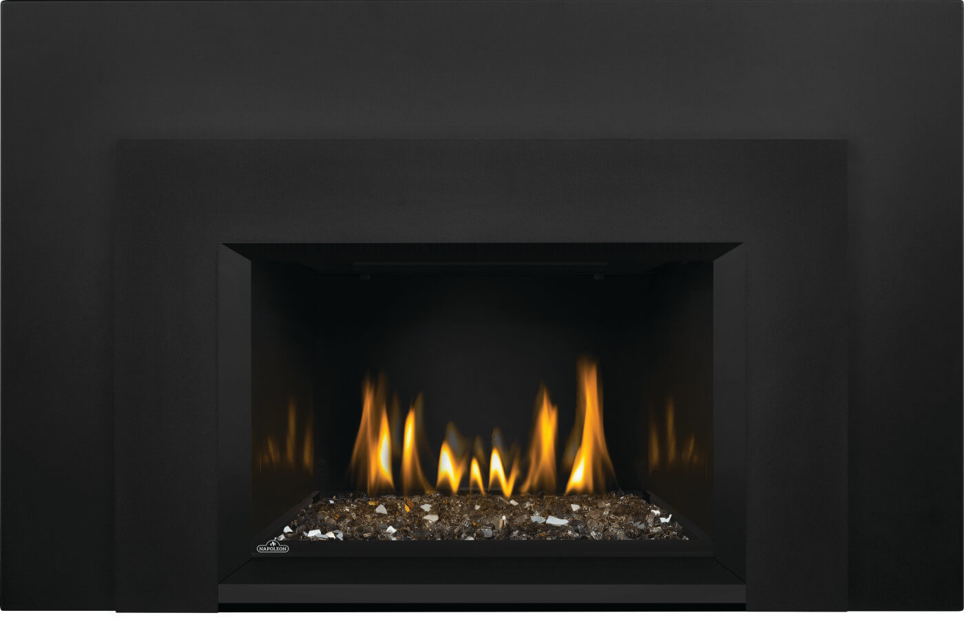 Napoleon Oakville™ 3 Glass Gas Fireplace Insert GDIG3N