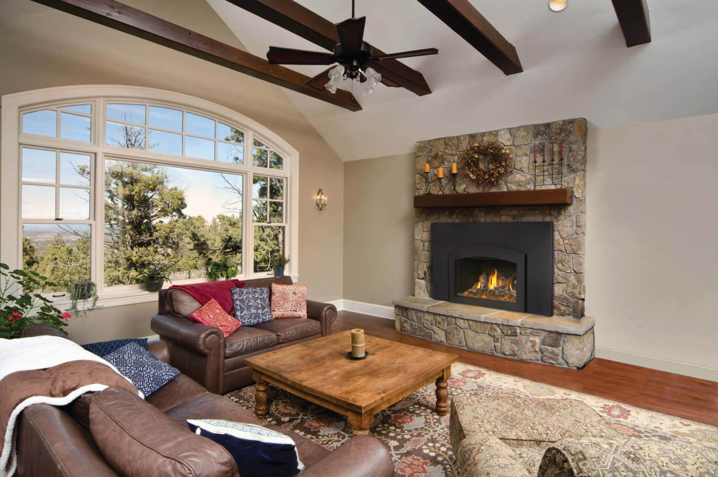 Napoleon Oakville™ X3 Gas Fireplace Insert GDIX3N