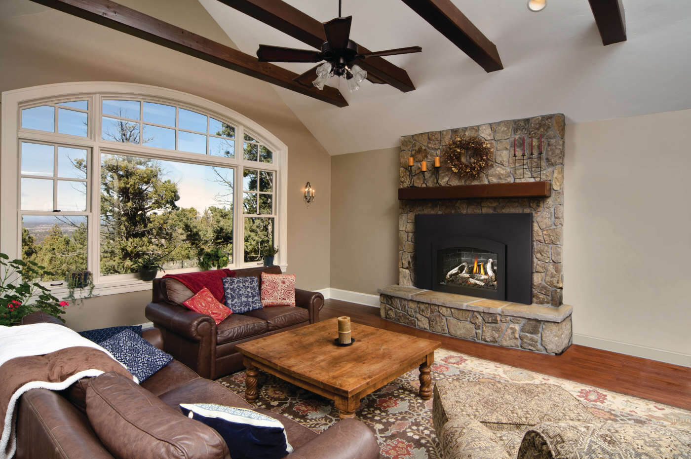 Napoleon Oakville™ X3 Gas Fireplace Insert GDIX3N