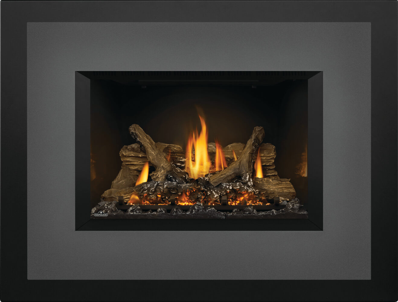 Napoleon Oakville™ X3 Gas Fireplace Insert GDIX3N