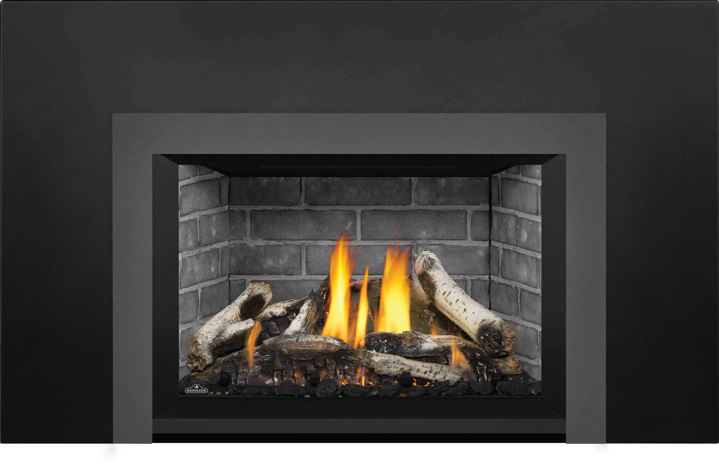 Napoleon Oakville™ X3 Gas Fireplace Insert GDIX3N