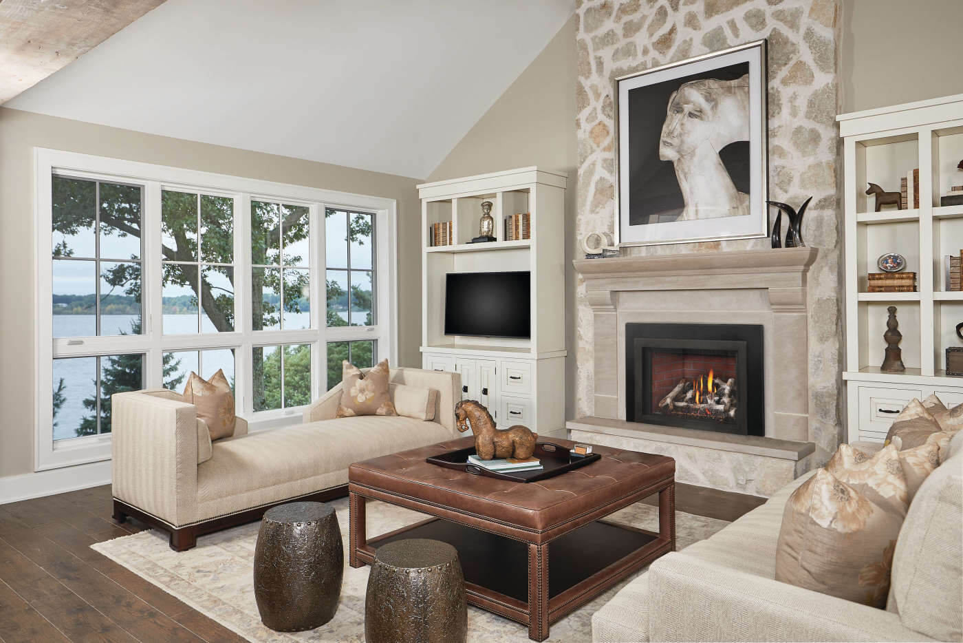 Napoleon Oakville™ X4 Gas Fireplace Insert GDIX4N