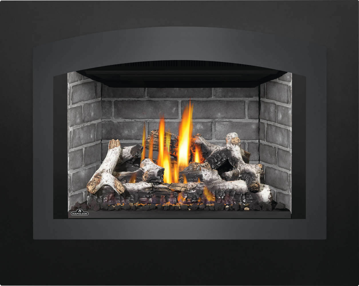 Napoleon Oakville™ X4 Gas Fireplace Insert GDIX4N
