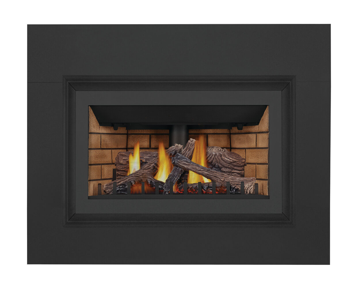 Napoleon Inspiration™ Gas Millivolt Fireplace Insert GDIZC