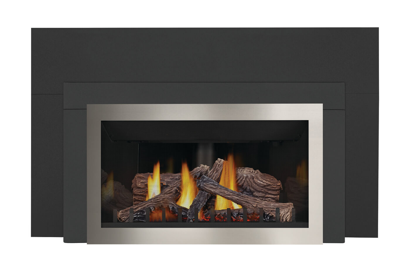 Napoleon Inspiration™ Gas Millivolt Fireplace Insert GDIZC