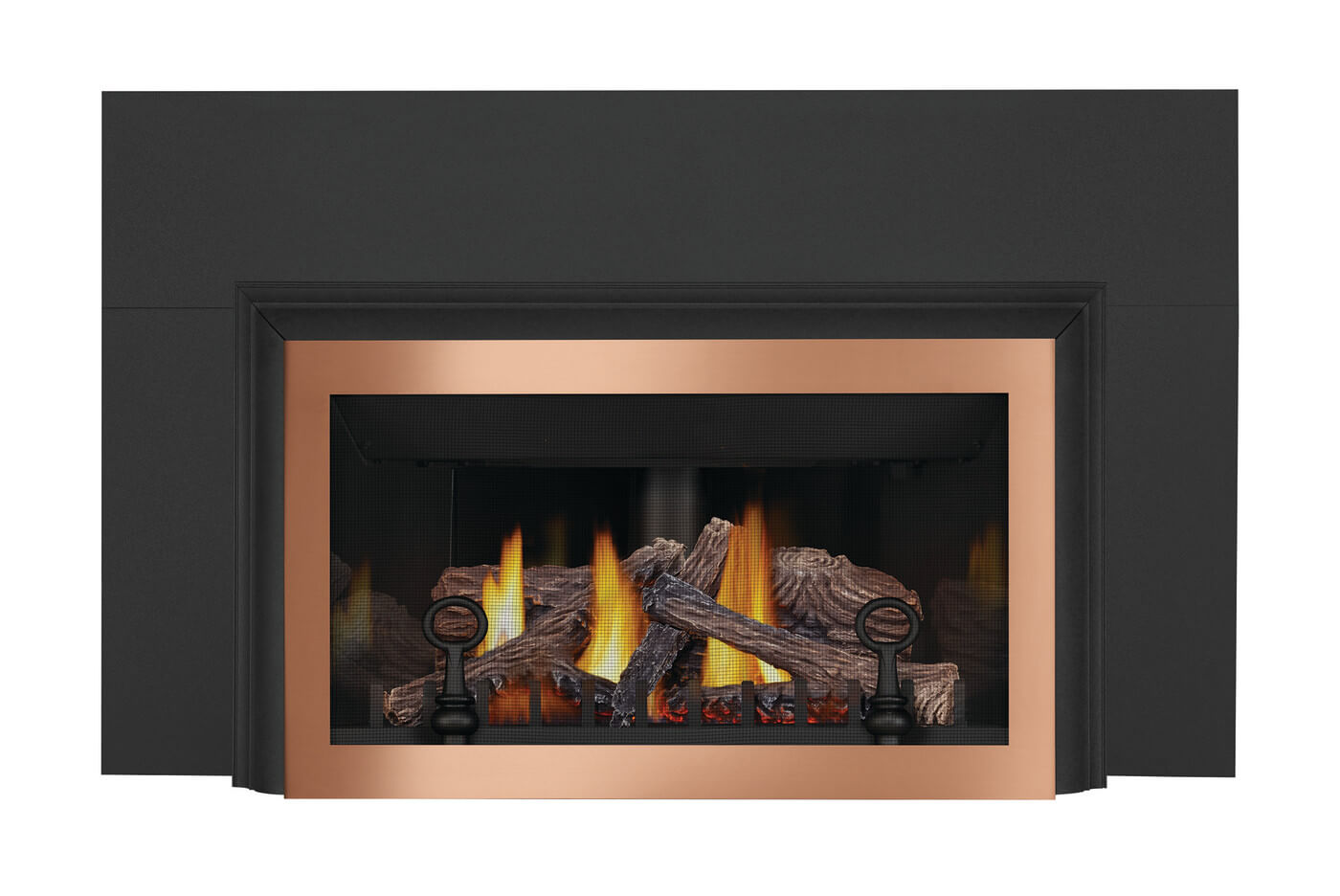 Napoleon Inspiration™ Gas Millivolt Fireplace Insert GDIZC
