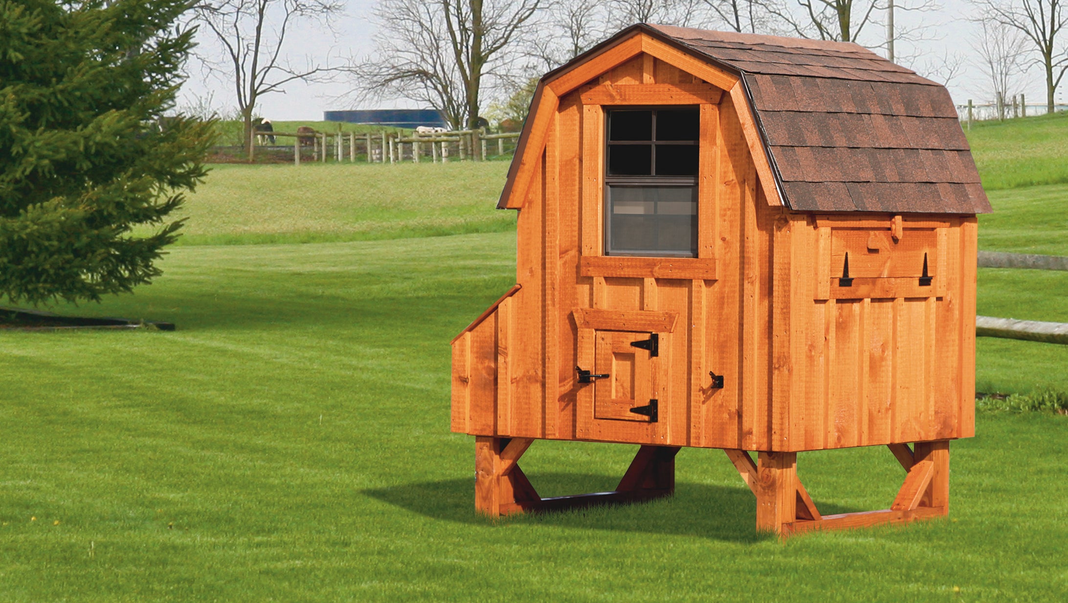 Hen House Chicken Coop The Dutch D44