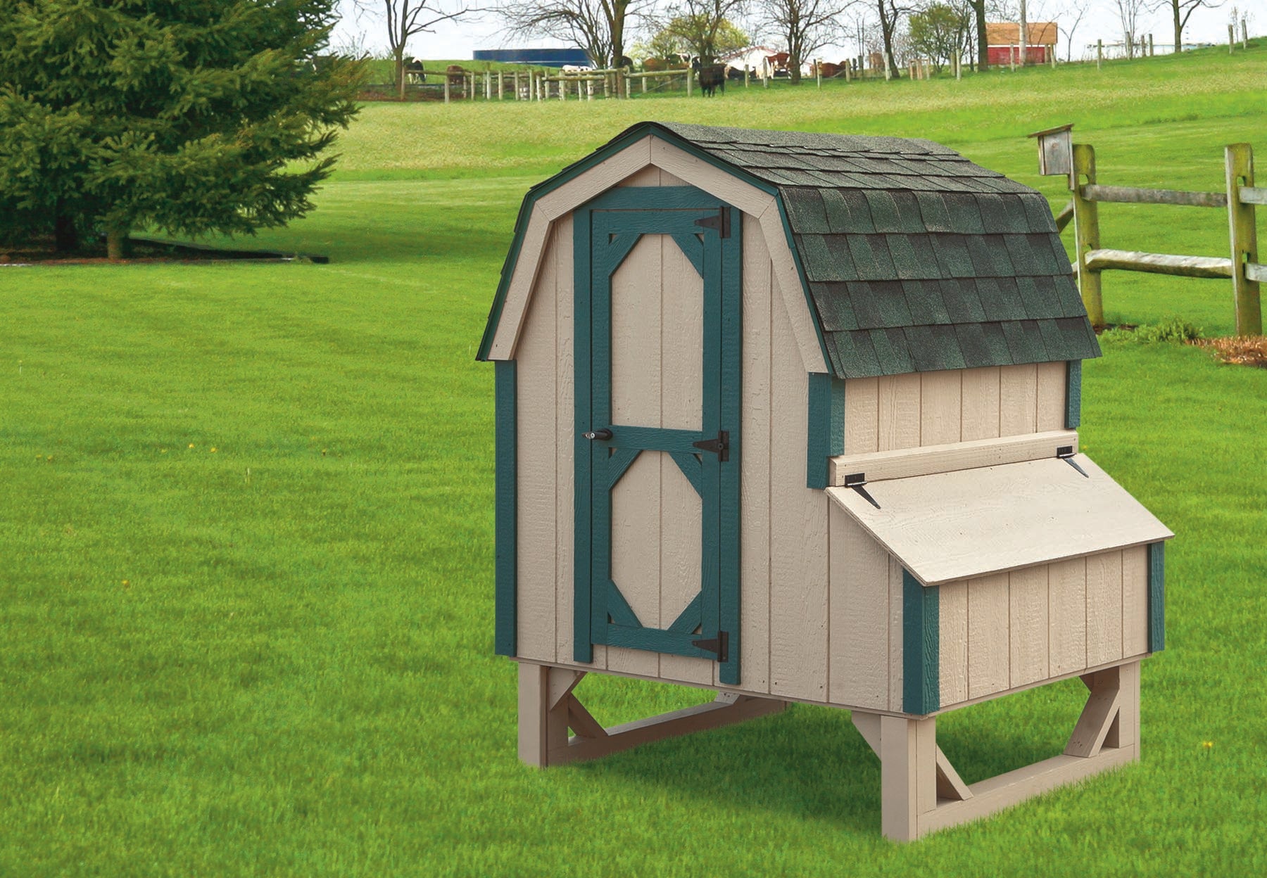 Hen House Chicken Coop The Dutch D44