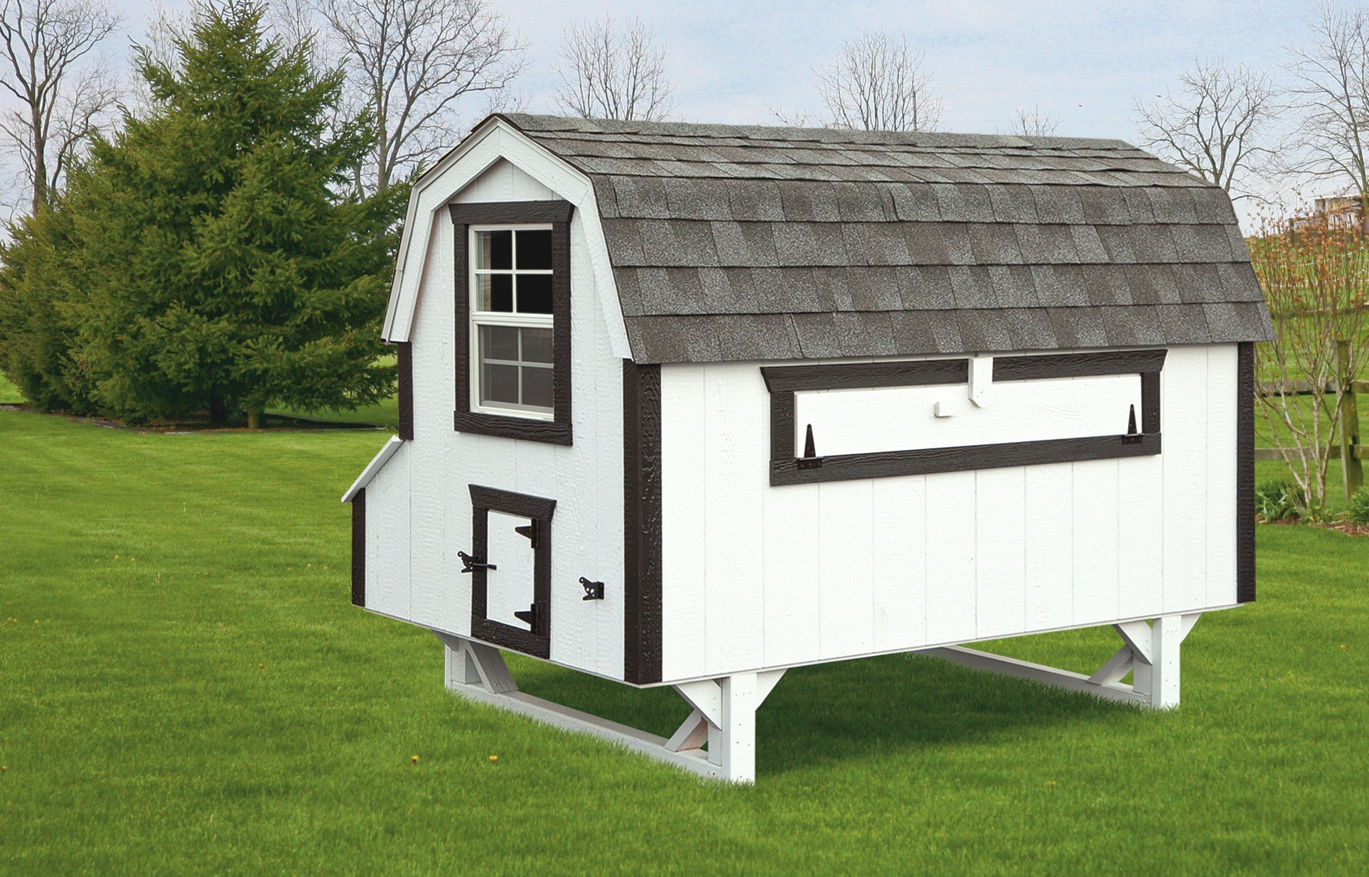 Hen House Chicken Coop The Dutch D48