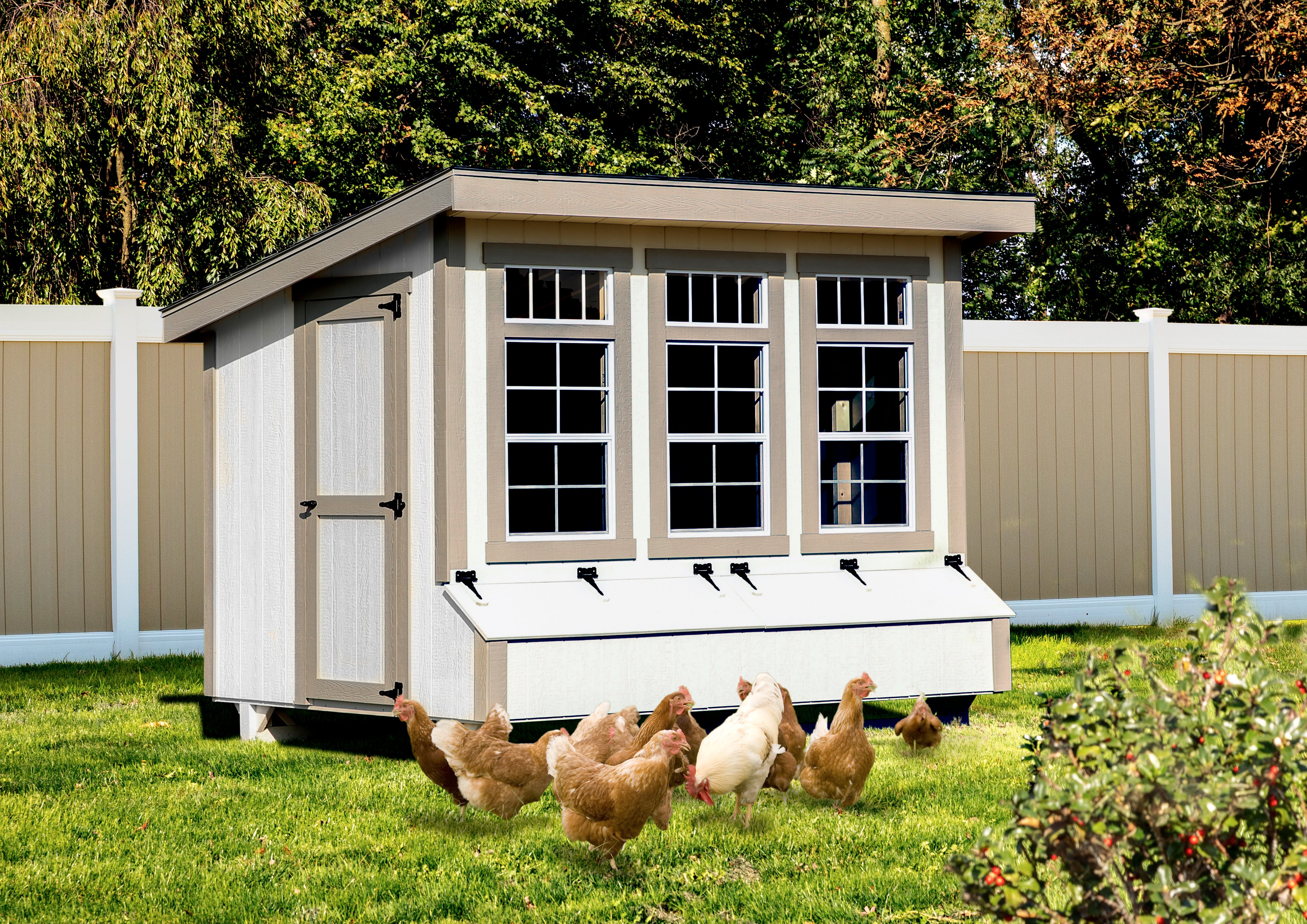 Hen House Chicken Coop L710
