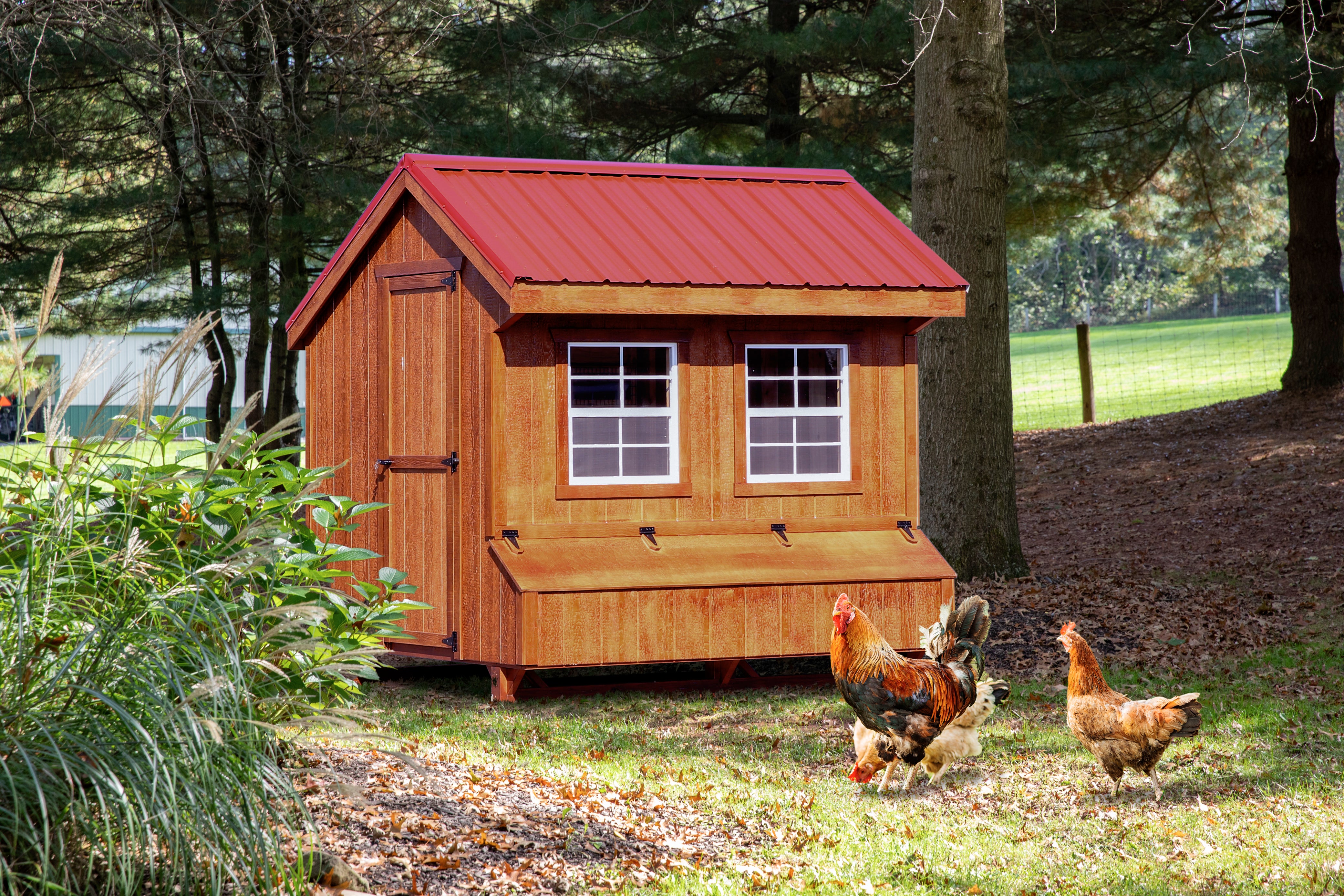 Hen House Chicken Coop Q78