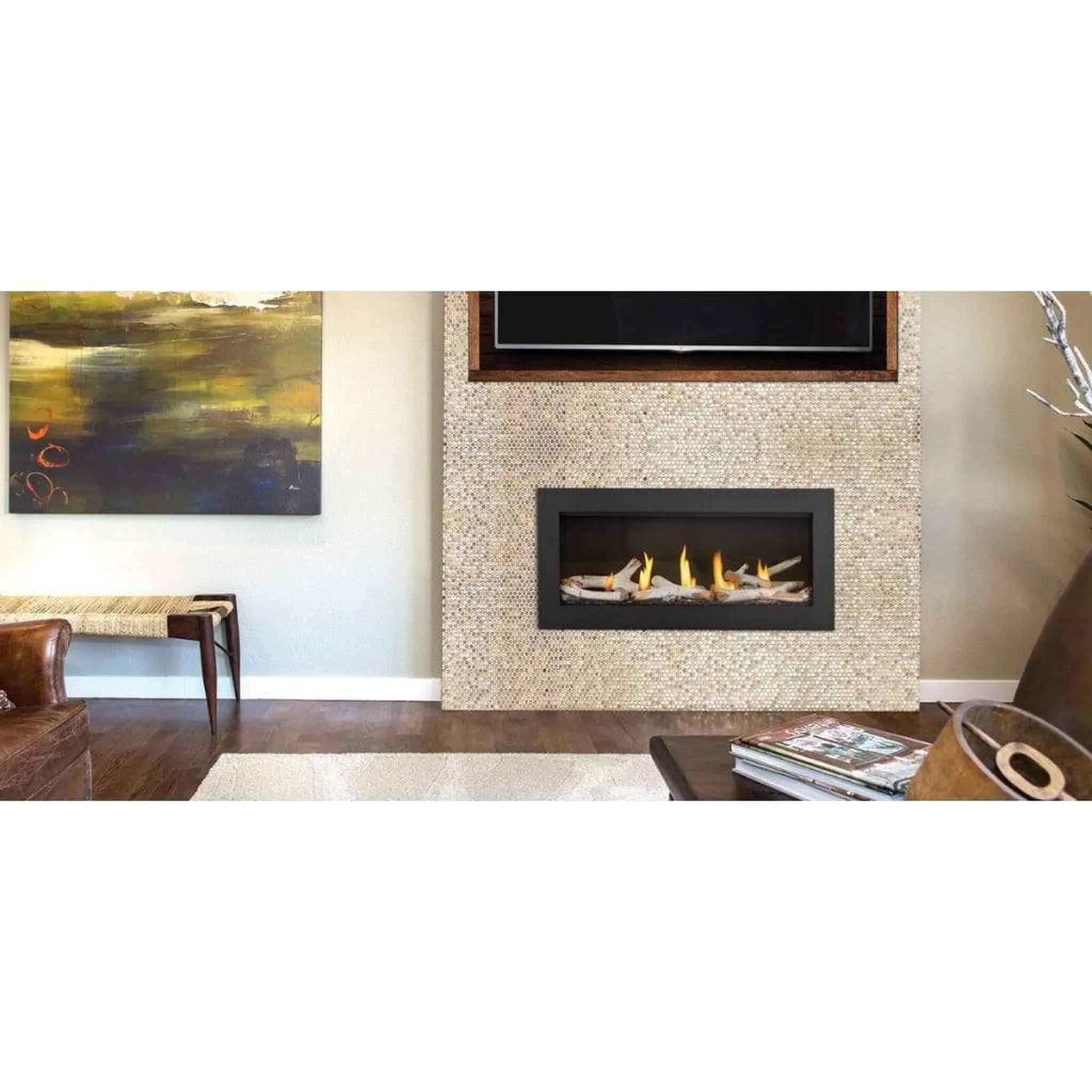 Napoleon Acies Single Sided Direct Vent Natural Gas Fireplace L38N