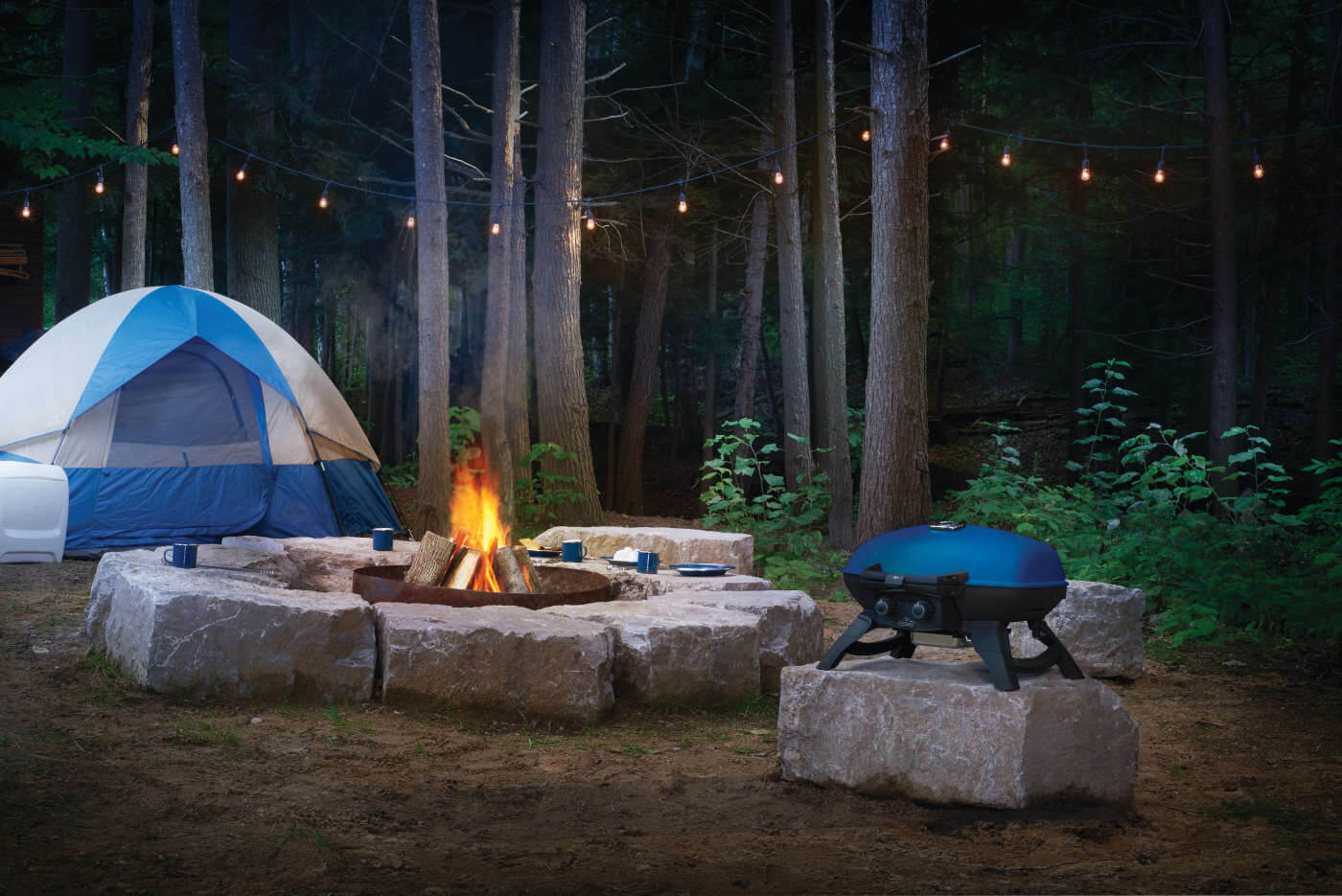 Napoleon TravelQ 285 with Griddle Portable Liquid Propane Gas Grill TQ285-BL-1