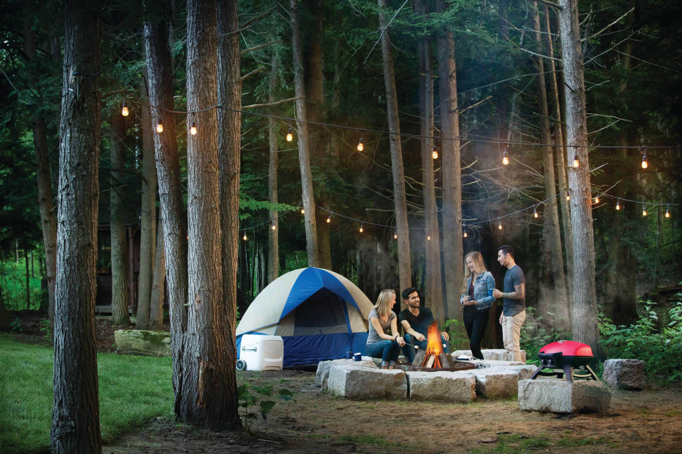 Napoleon TravelQ 285 with Griddle Portable Liquid Propane Gas Grill TQ285-RD-1-A