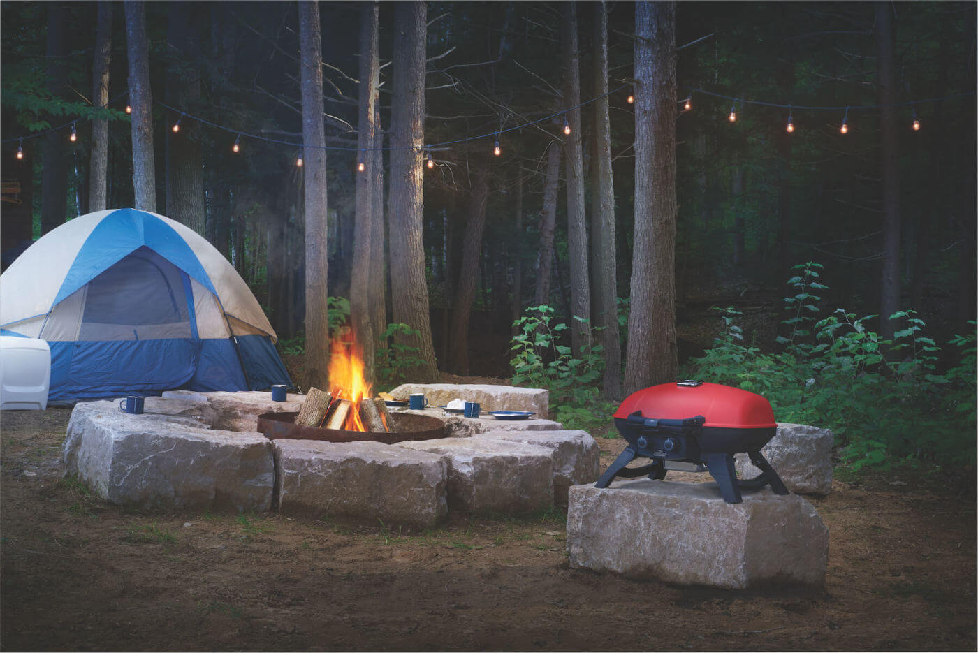 Napoleon TravelQ 285 with Griddle Portable Liquid Propane Gas Grill TQ285-RD-1-A