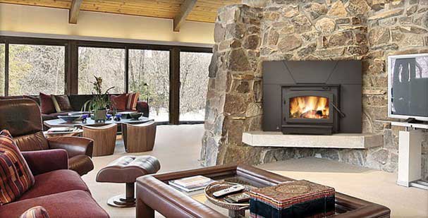 Napoleon Economizer™ Wood Fireplace Insert EPI22-1