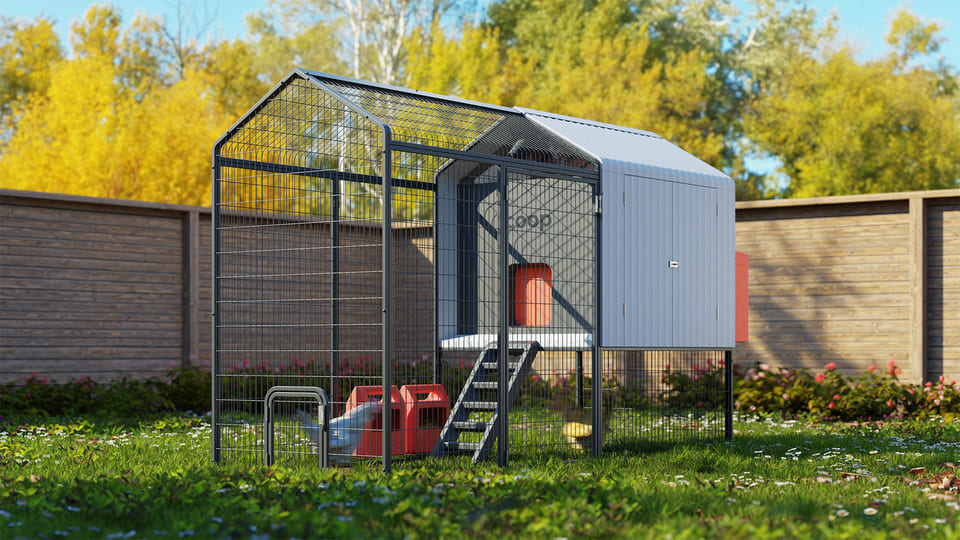 The Smart Coop + Steel Run Chicken Coop