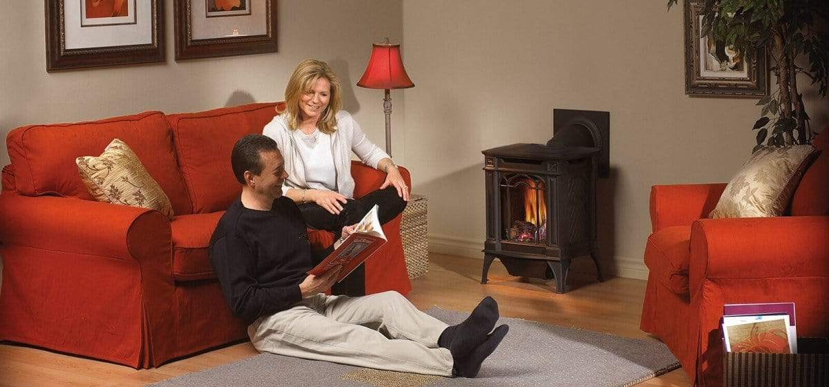 Napoleon Arlington™ Direct Vent Gas Stove with Space Saving Design GDS20