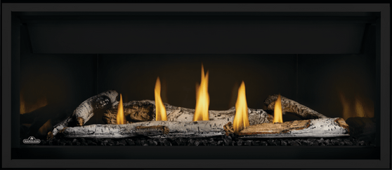 Napoleon Ascent™ Linear Premium Series 56" Direct Vent Gas Fireplace BLP56NTE