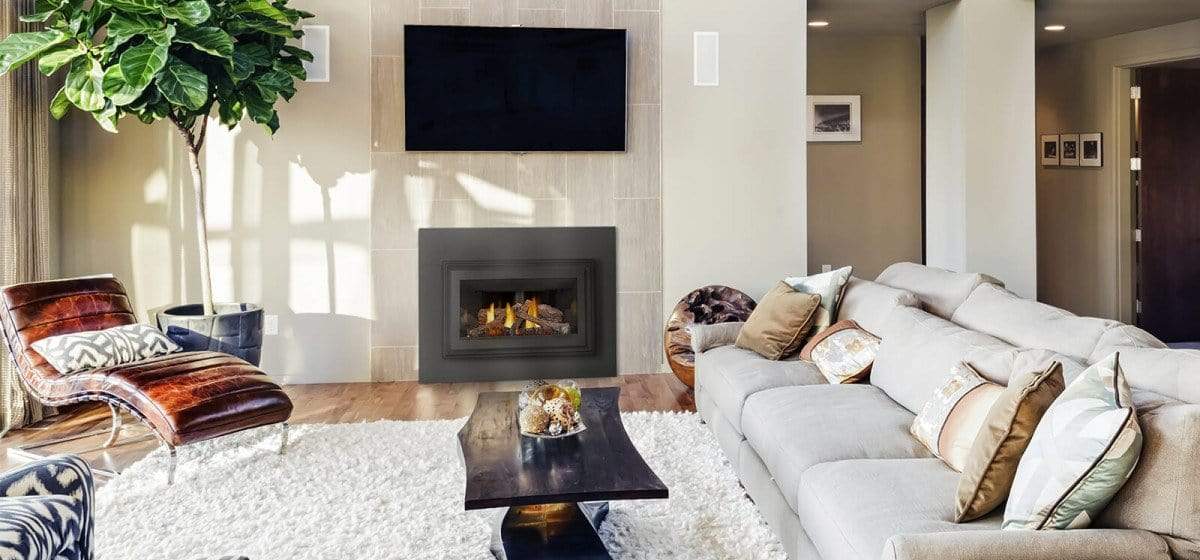 Napoleon Inspiration™ Gas Millivolt Fireplace Insert GDIZC