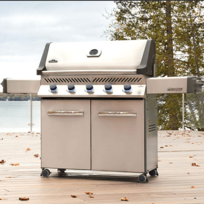 Napoleon Prestige 665 Gas Grill