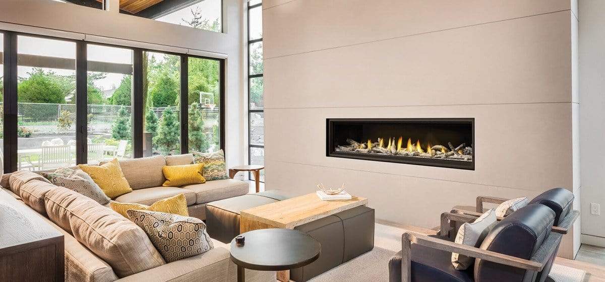 Napoleon Vector 50" Direct Vent Gas Fireplace LV50N-2