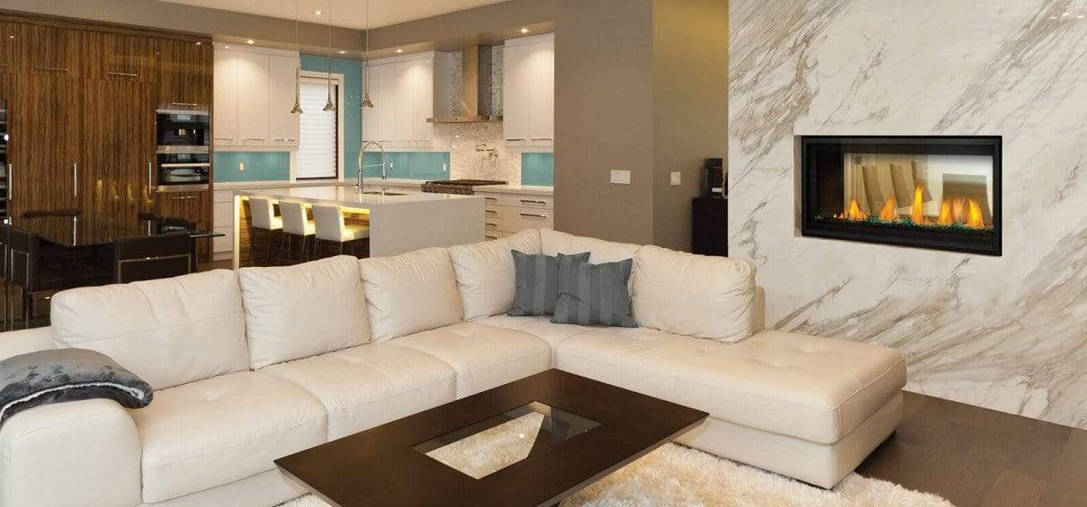 Napoleon Vector 50" See-Thru Direct Vent Gas Fireplace LV50N2-2