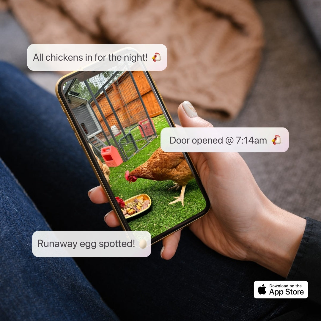 The Smart Coop + Steel Run Chicken Coop