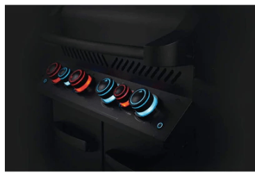 Outdoor Grills