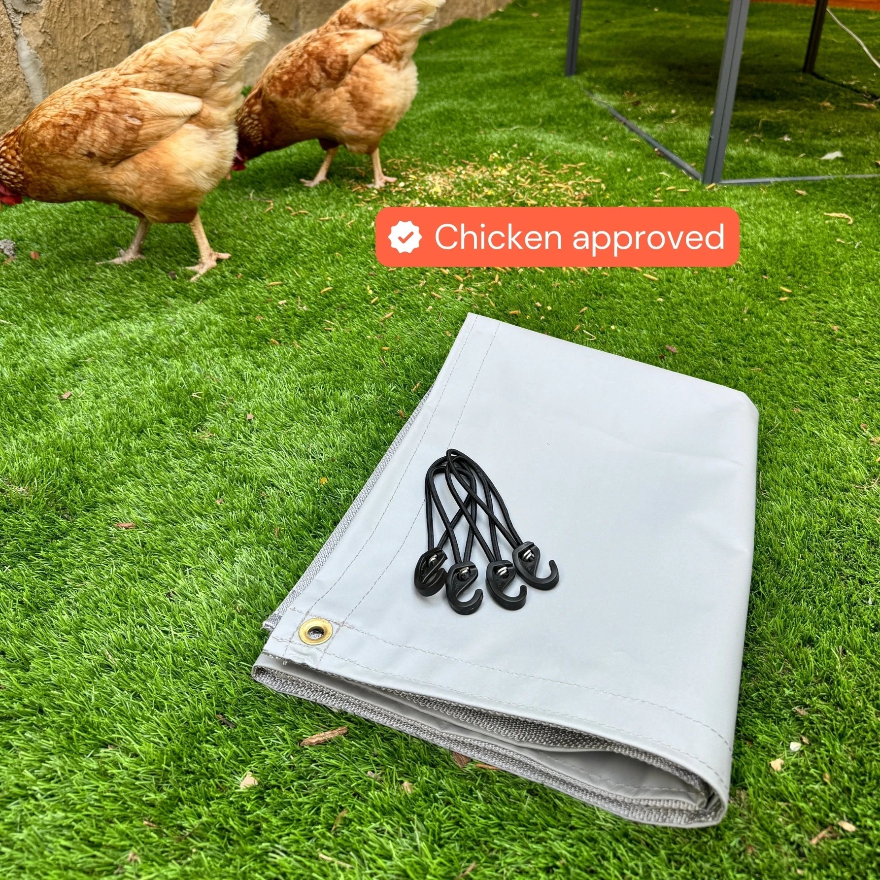 The Smart Coop Unlimited+ Chicken Coop