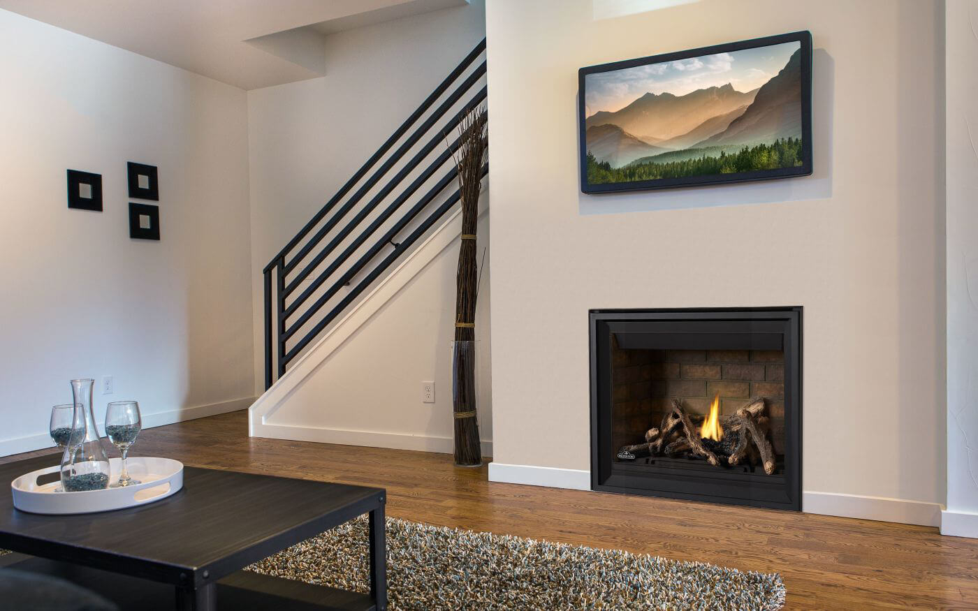 Napoleon Altitude™ X Series 42" Direct Vent Gas Fireplace AX42