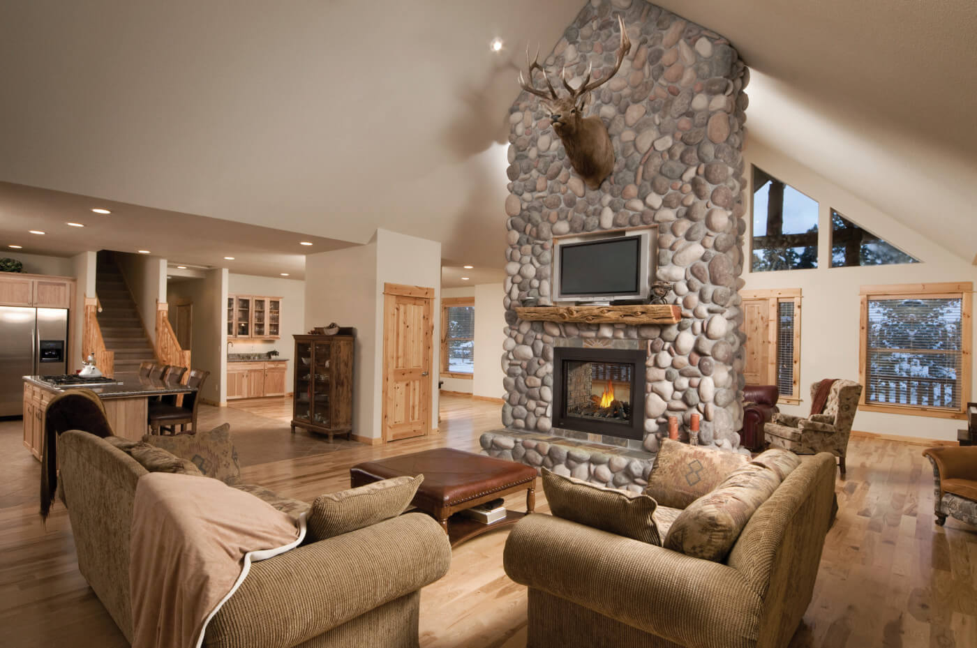 Napoleon Ascent™ Multi-View See-Thru Direct Vent Gas Fireplace BHD4STGN