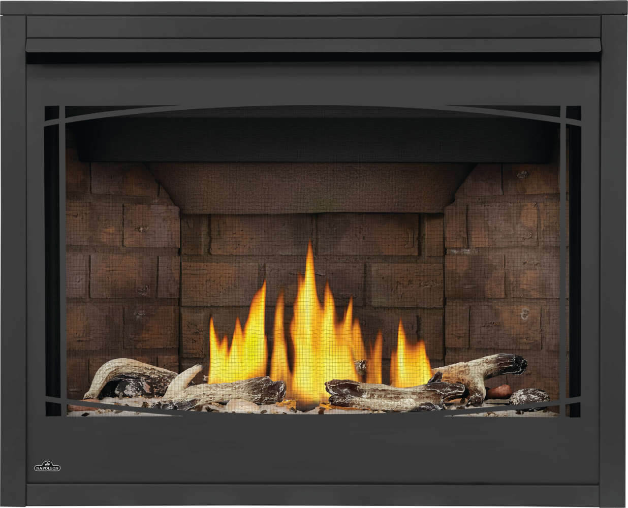 Napoleon Ascent™ X Series 42" Direct Vent Gas Fireplace BX42