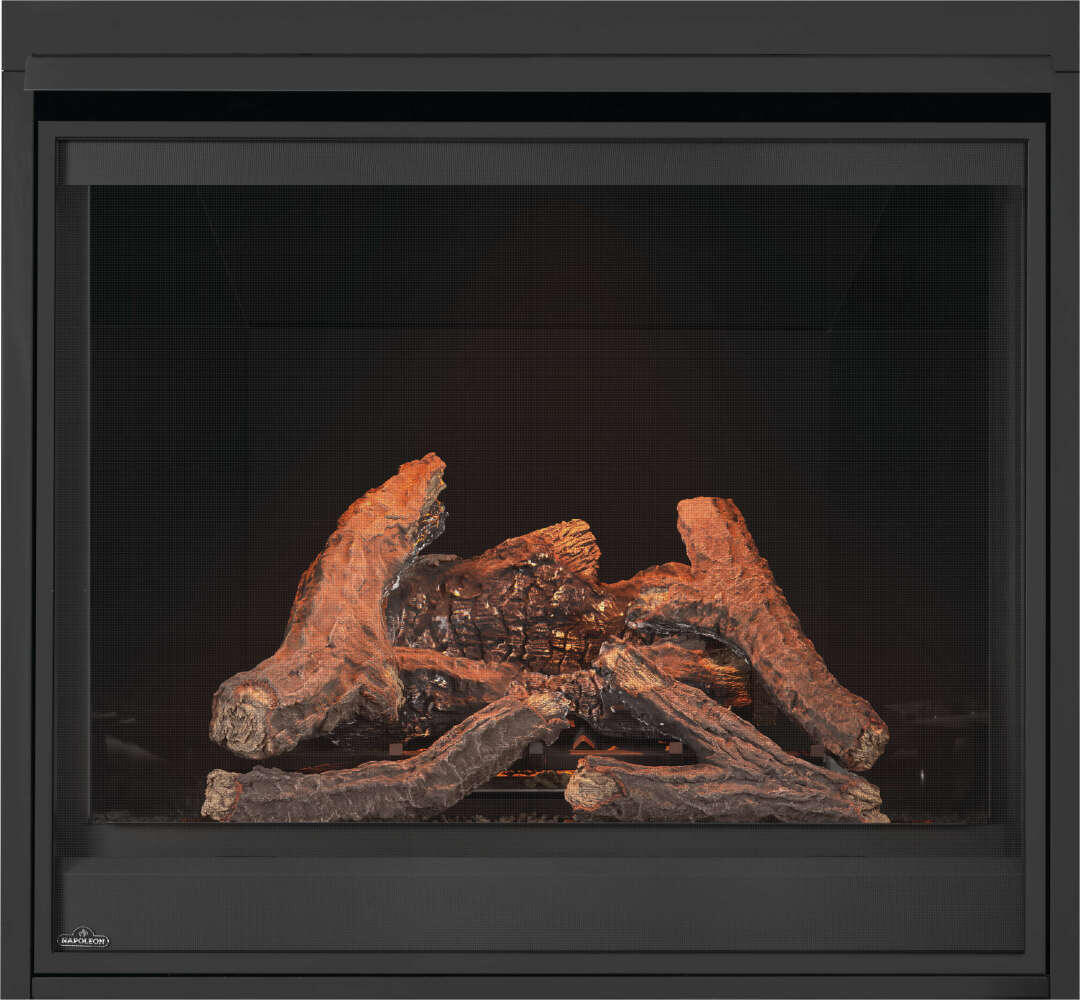 Napoleon Ascent™ Deep 42 Direct Vent Zero Clearance Gas Fireplace D42