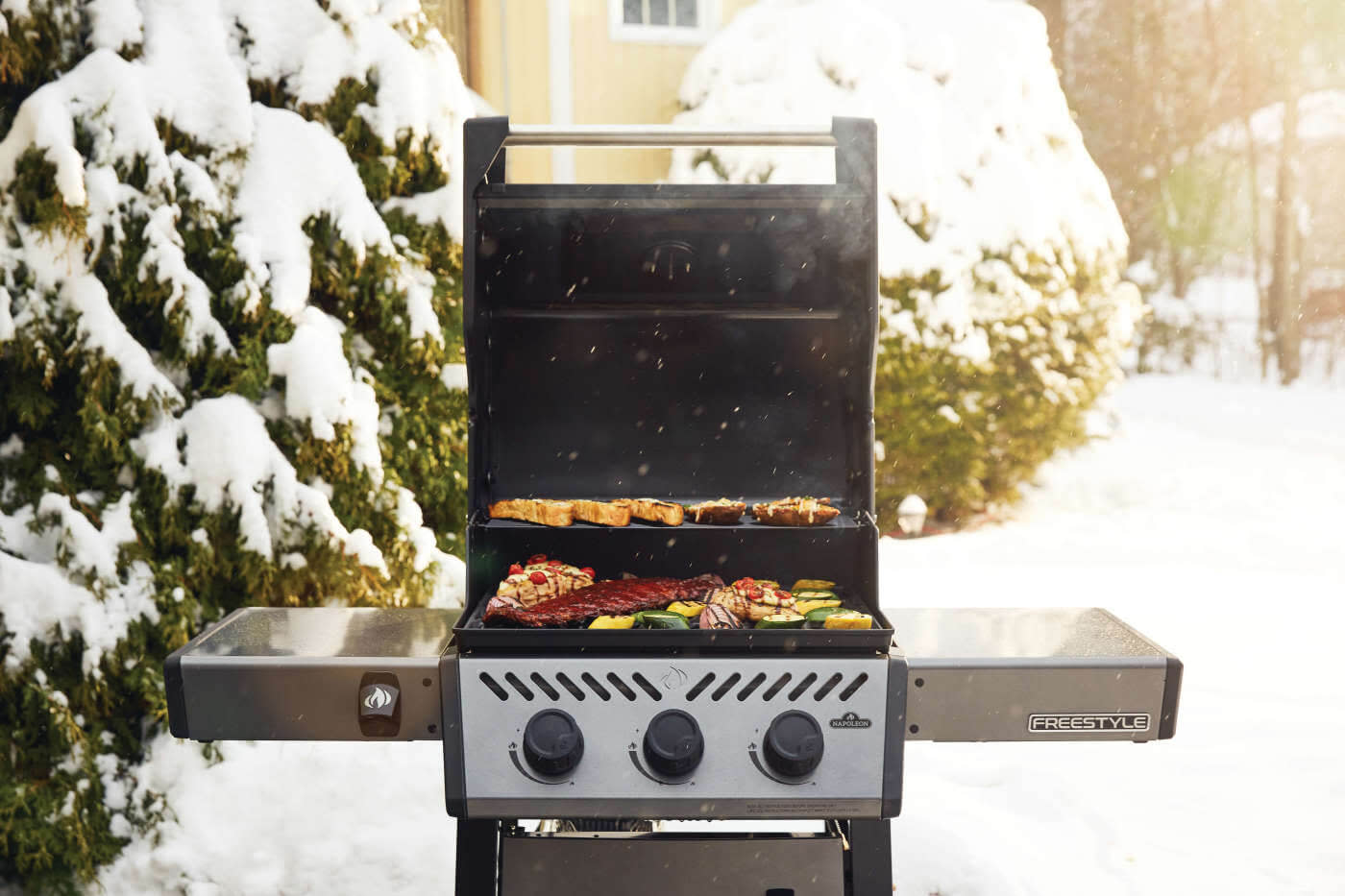 Napoleon Freestyle 365 Graphite Gray Freestanding Gas Grill F365D