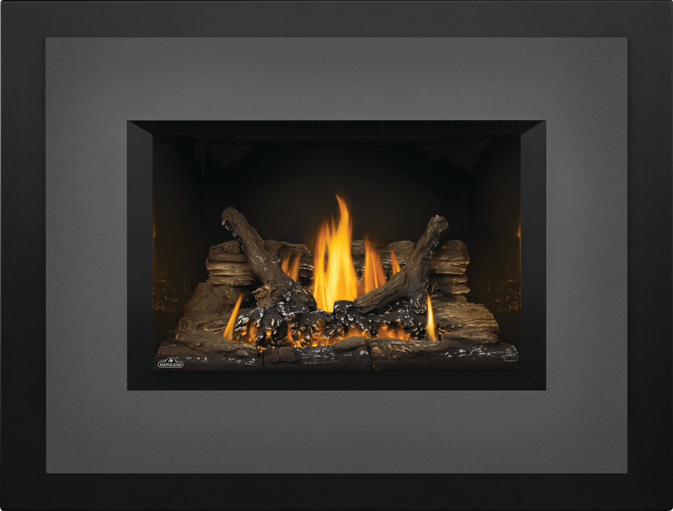 Napoleon Oakville™ 3 Gas Fireplace Insert GDI3NE