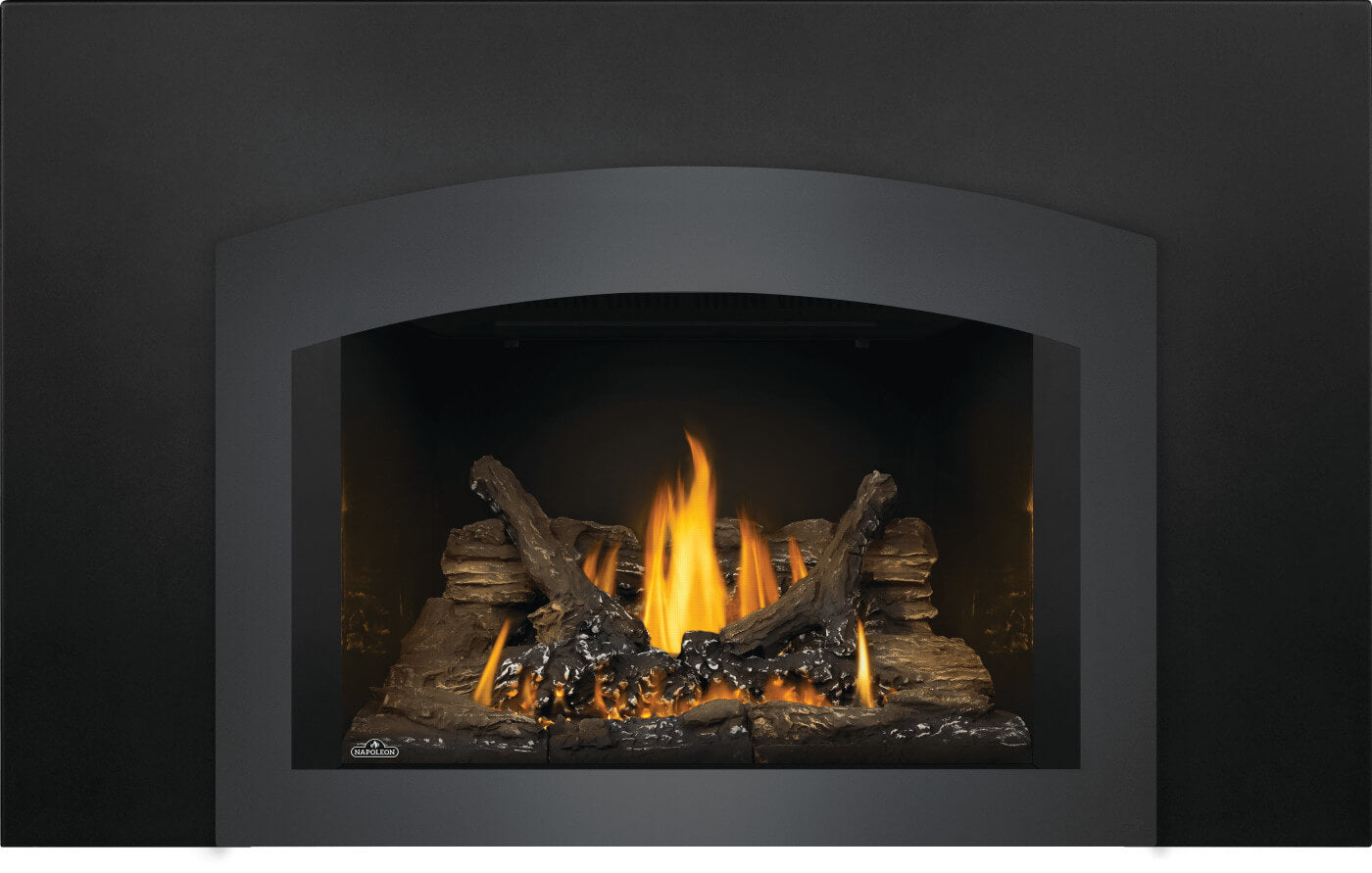 Napoleon Oakville™ 3 Gas Fireplace Insert GDI3NE