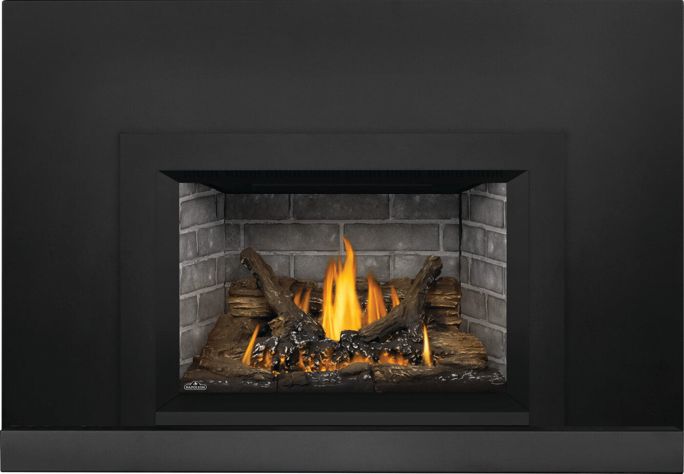 Napoleon Oakville™ 3 Gas Fireplace Insert GDI3NE