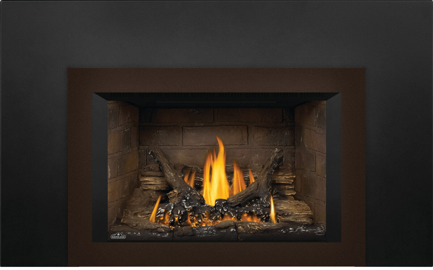 Napoleon Oakville™ 3 Gas Fireplace Insert GDI3NE