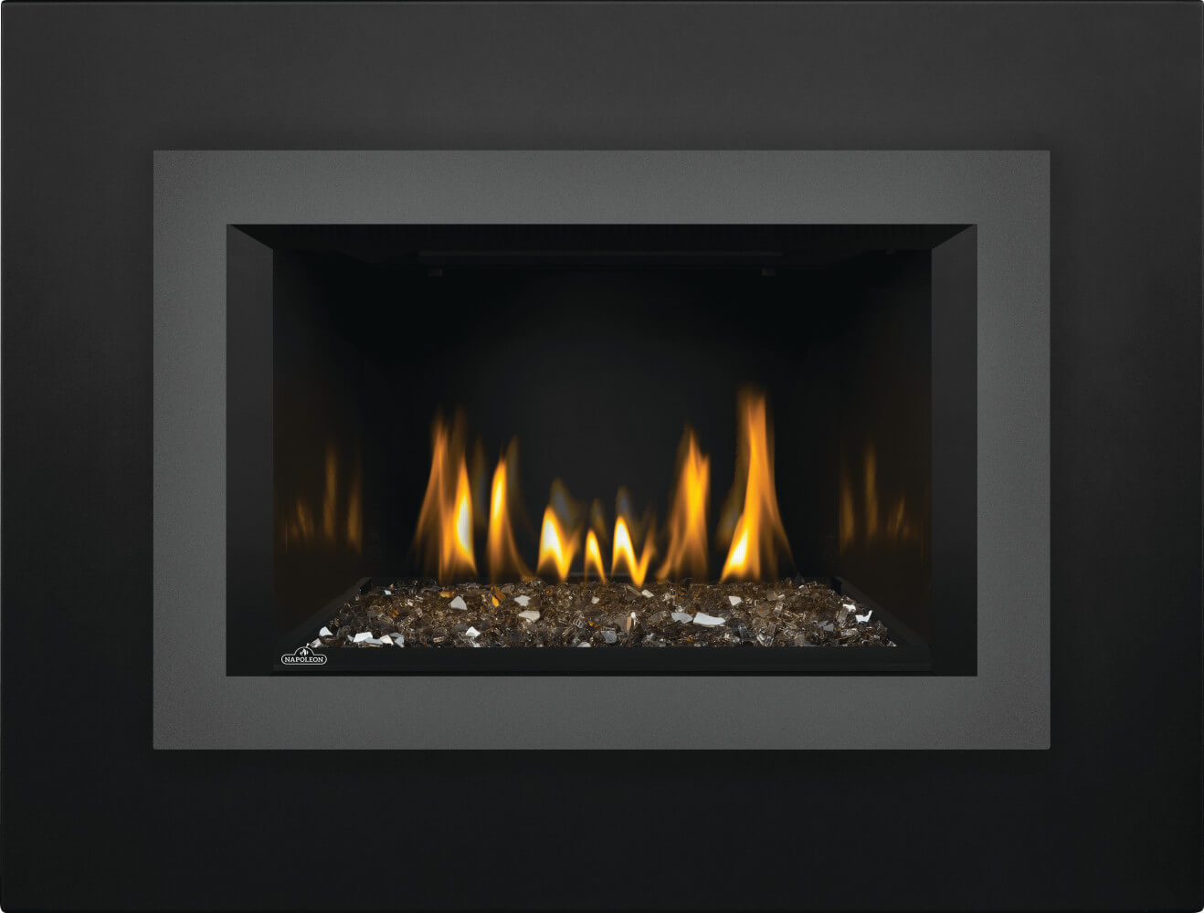 Napoleon Oakville™ 3 Glass Gas Fireplace Insert GDIG3N