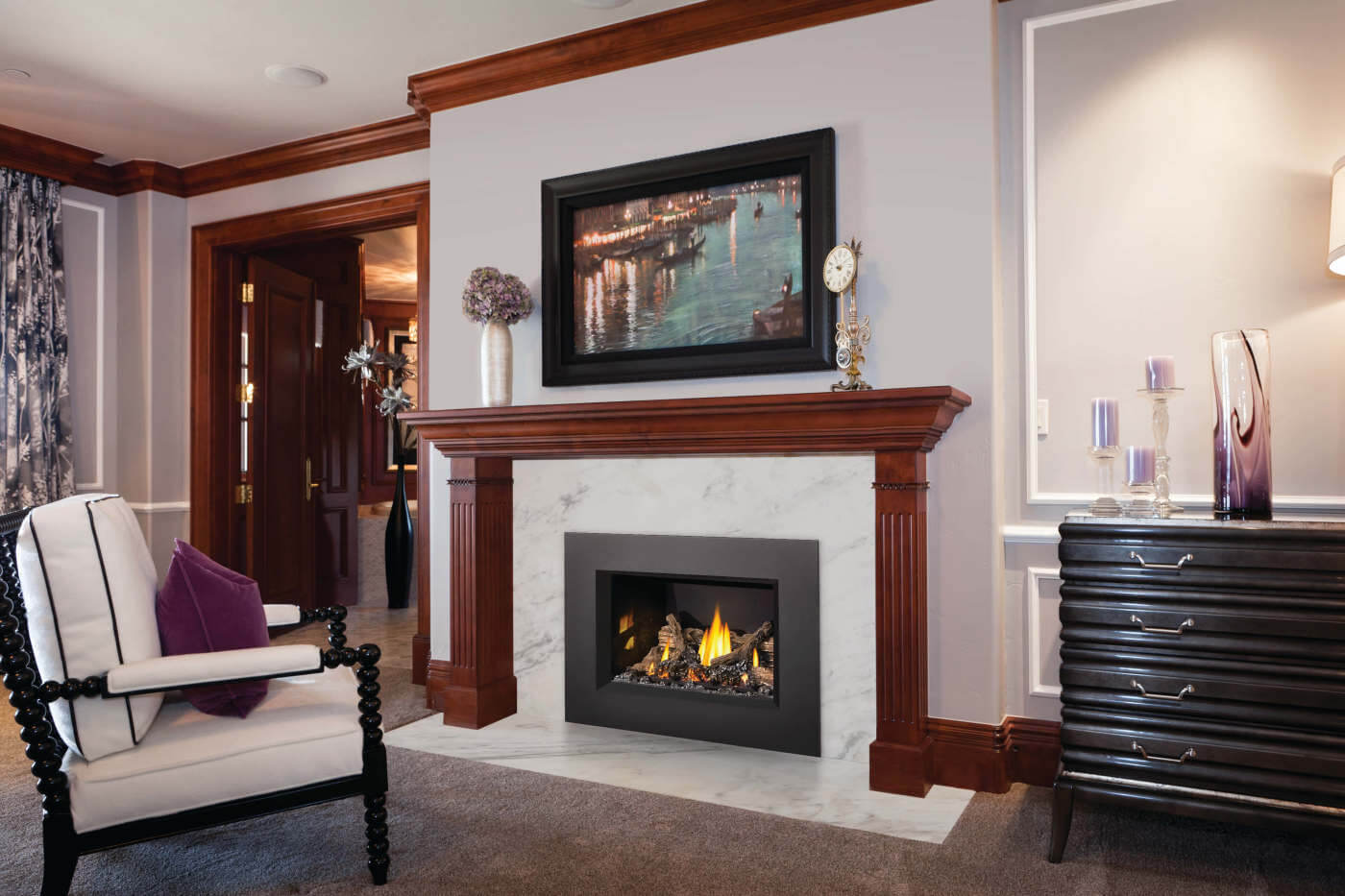 Napoleon Oakville™ X3 Gas Fireplace Insert GDIX3N