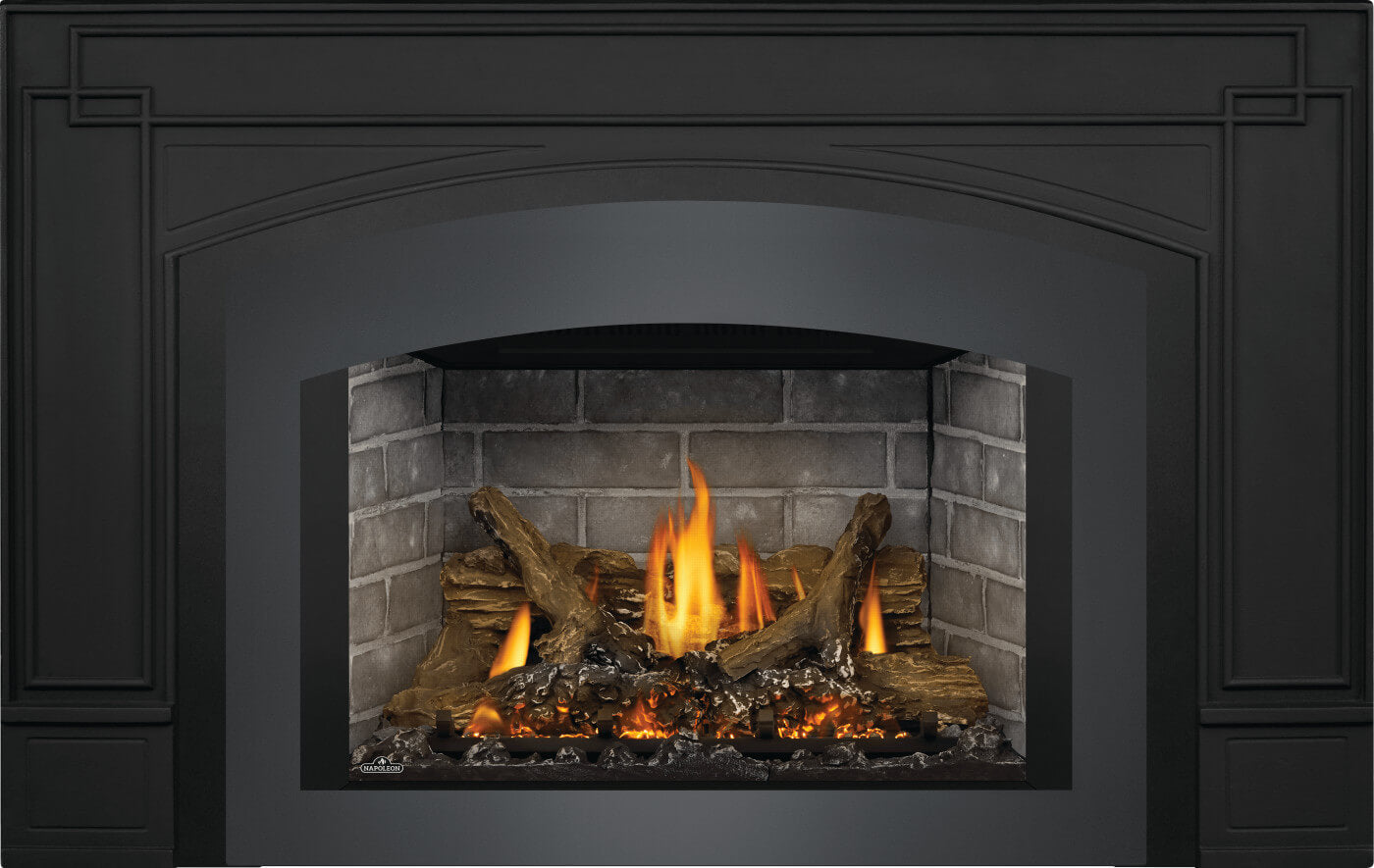 Napoleon Oakville™ X3 Gas Fireplace Insert GDIX3N