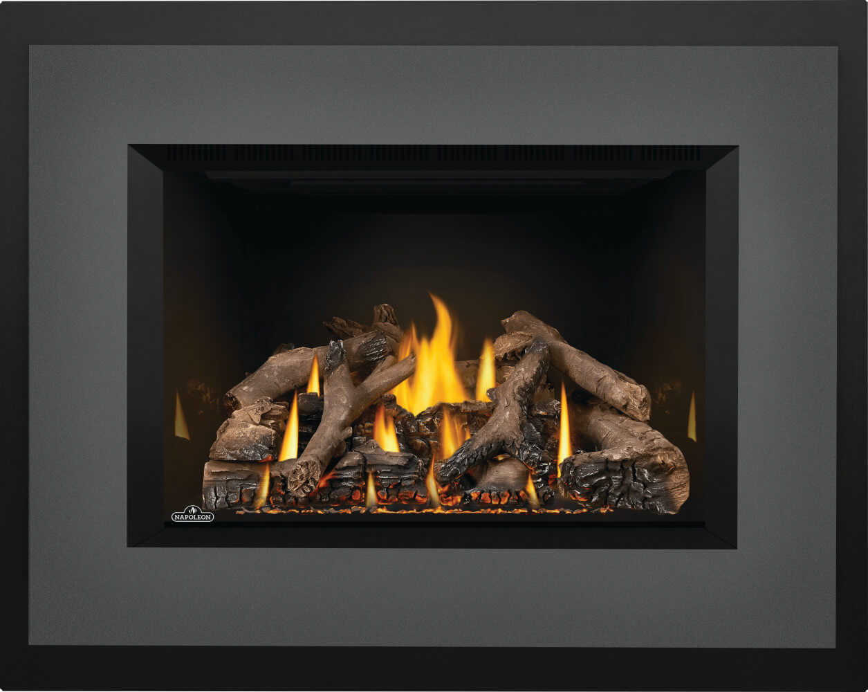 Napoleon Oakville™ X4 Gas Fireplace Insert GDIX4N