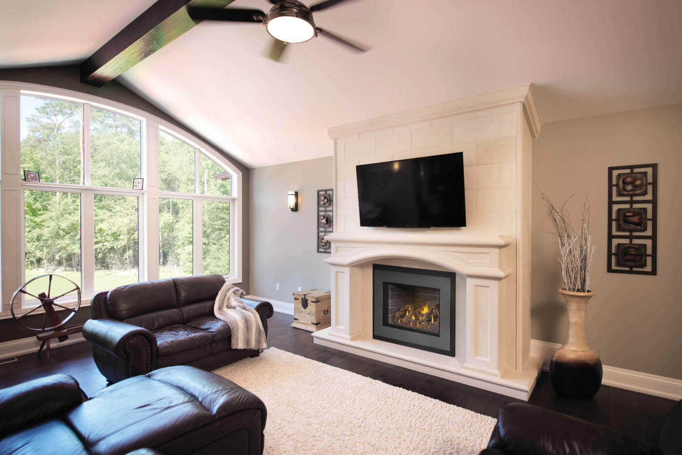 Napoleon Oakville™ X4 Gas Fireplace Insert GDIX4N