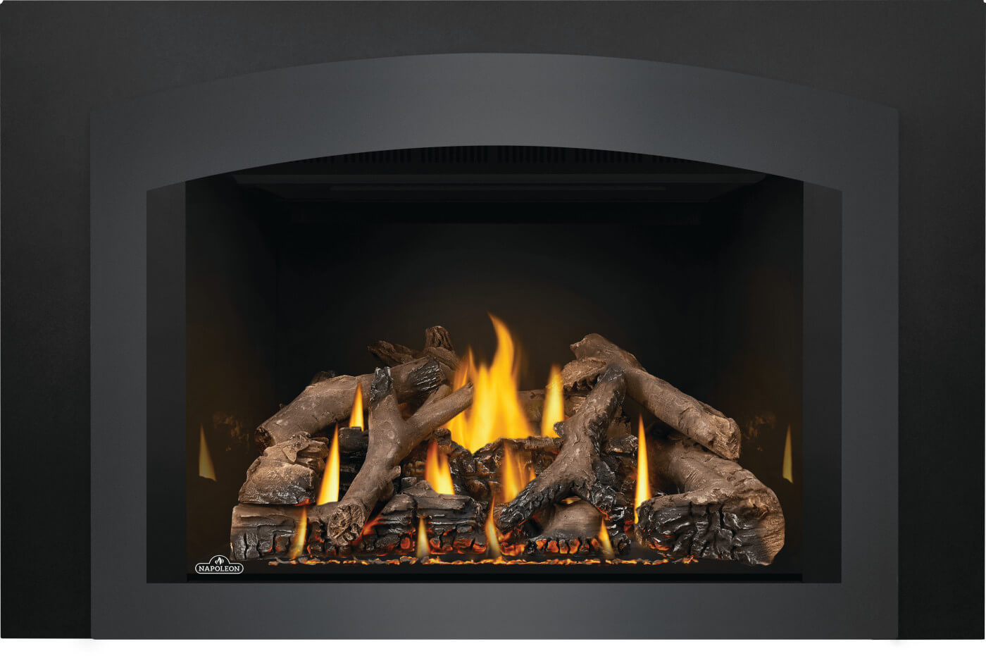 Napoleon Oakville™ X4 Gas Fireplace Insert GDIX4N