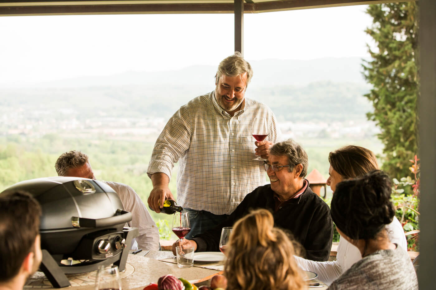 Napoleon TravelQ Pro Black Portable Gas Grill PRO285